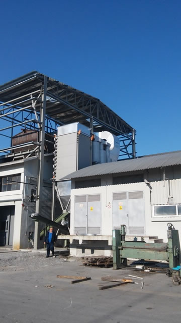 Cyclone for dedusting a biomass fired boiler 